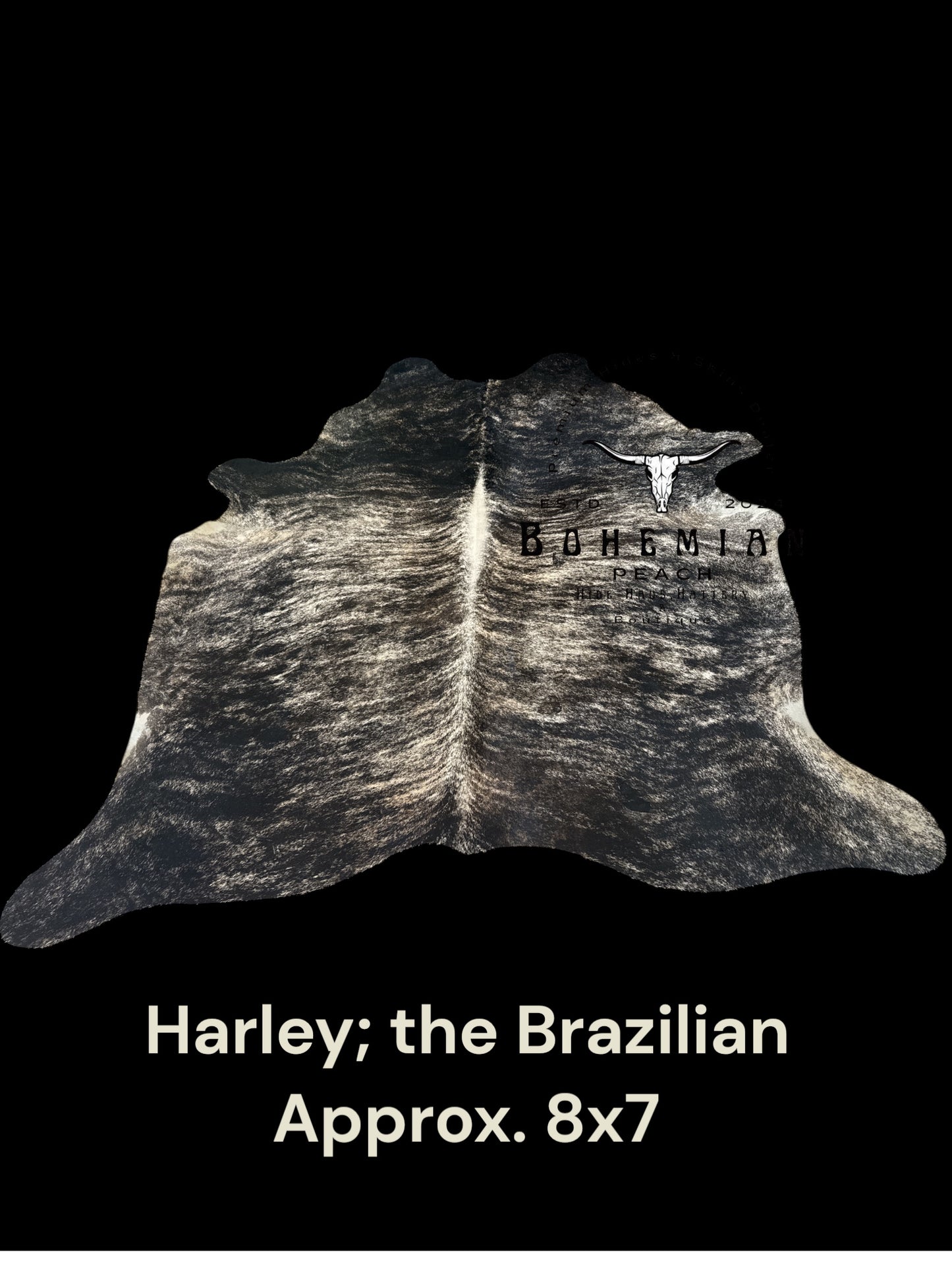 Harley; the Brazilian