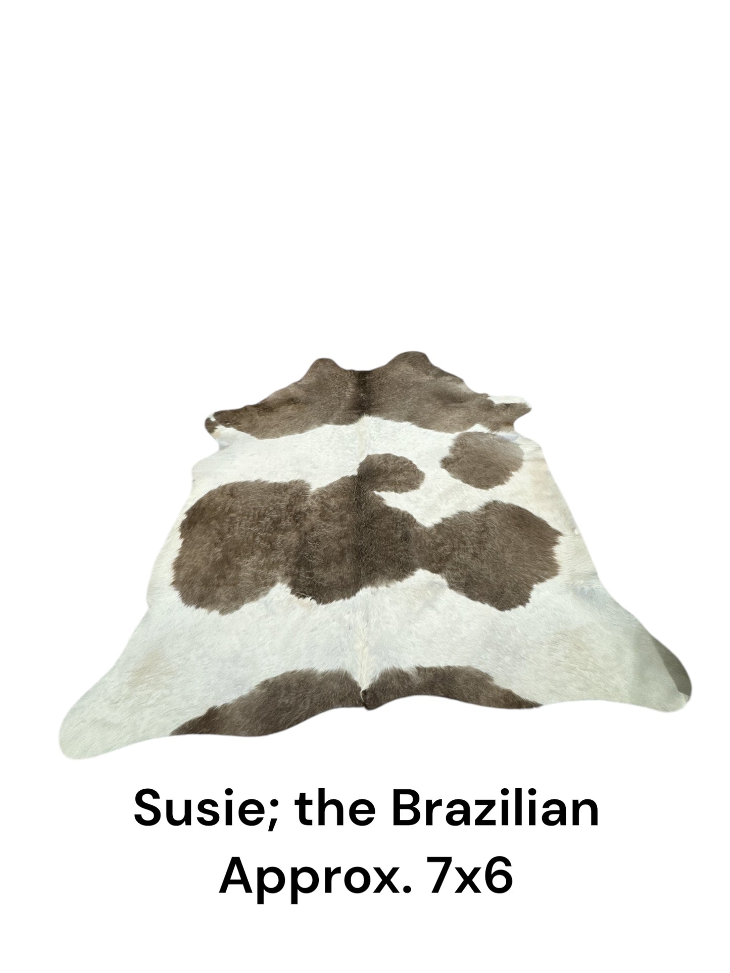 Susie; the Brazilian