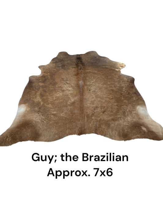 Guy; the Brazilian