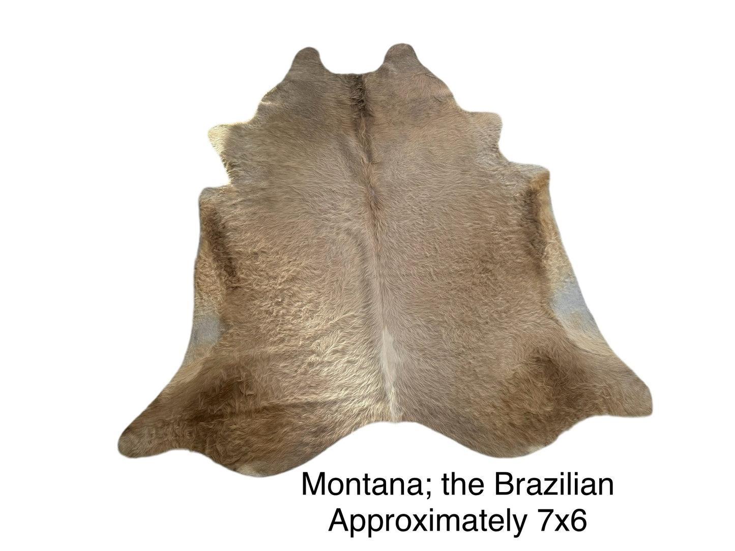 Montana; the Brazilian