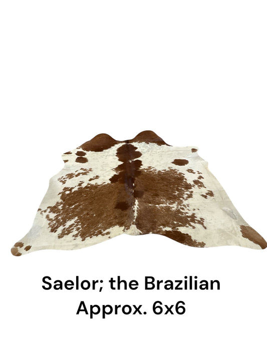 Saelor; the Brazilian