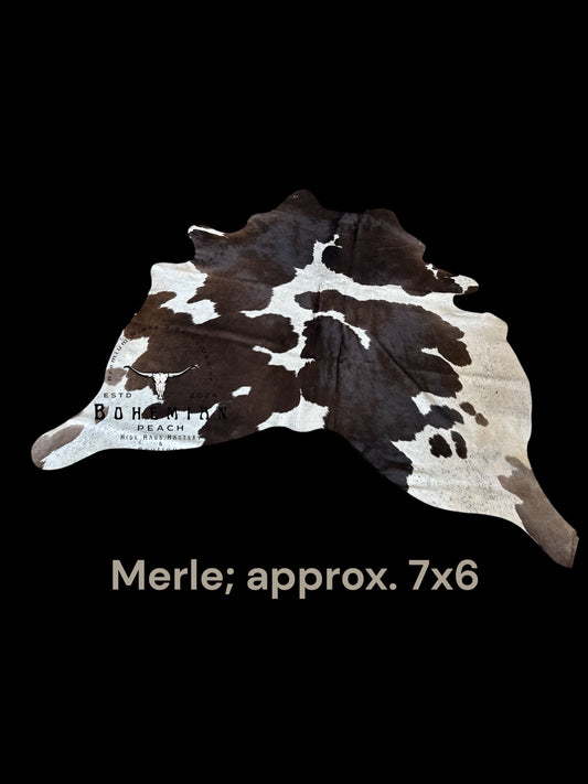 Merle; the Brazilian