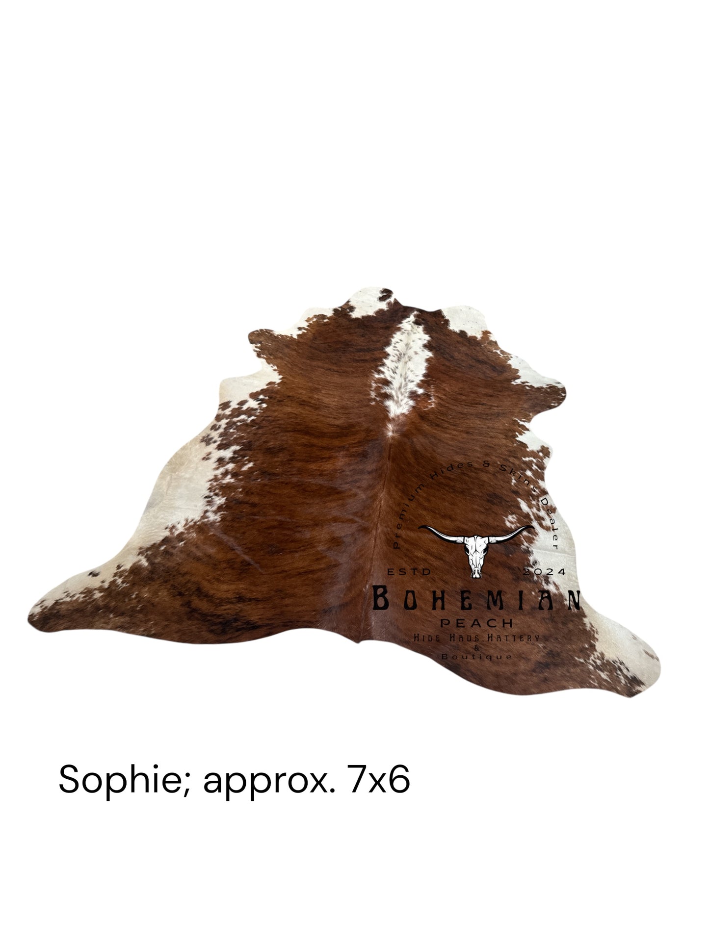 Sophie; the Brazilian